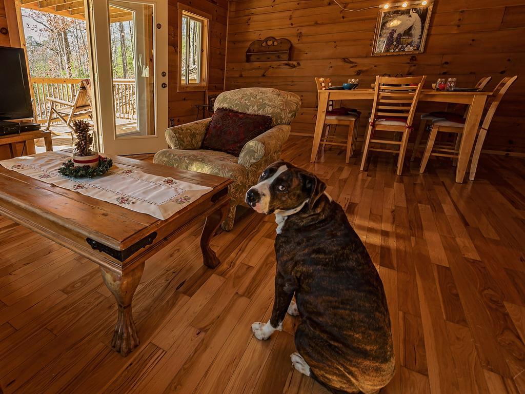 Log Cabin In Smoky Mountains Hotel Sevierville Exterior photo